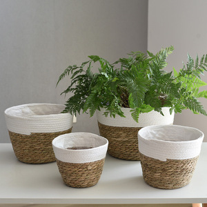 Pots à fleurs tressés en paille, paniers à fleurs, plantes succulentes en pot, plantes vertes, artisanat tressé en algues marines, articles tressés transfrontaliers - Product Image 2