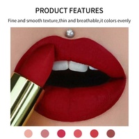 Vente en gros de rouge à lèvres imperméable, anti-adhésif, longue tenue, maquillage de Noël, rouge à lèvres mat