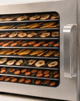 Kleine huishoudelijke droogmachine 10-laags voedseldroger voor gedroogde basilicum, munt, rozemarijn, groenten, fruit, huisdiertreats, groothandel