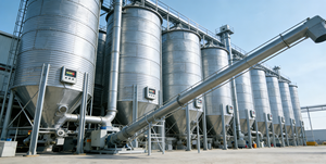 ผลิตภัณฑ์อาหารม้ารสแอปเปิ้ลแบบ OEM - Product Image 5