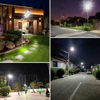 Lampadaire solaire LED étanche 100W 30000LM le plus vendu avec alimentation DC personnalisée