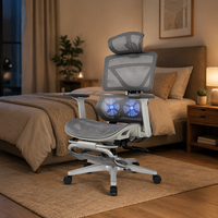 Chaise de bureau avec cadre en plastique maillé et réglage manuel