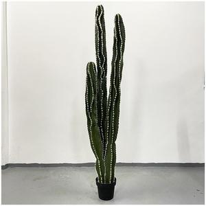 <span class=keywords><strong>Cactus</strong></span> artificiel, petit bouquet, plante d'intérieur, décoration murale, arrangements chinois, grand format, matériau PU, écologique, Halloween - Product Image 4