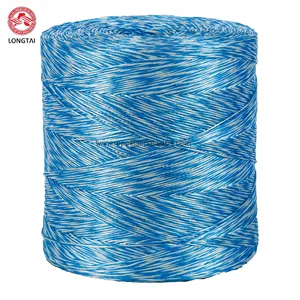 7000Ft Plastic Film Blowing Soft Twine PP Rope for Power Fishing Systems