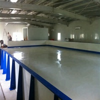 Dalles de sol en plastique pour patinoire synthétique / Planches de patinage sur glace artificielle pour l'entraînement au hockey / Dalles synthétiques pour patinage à roulettes