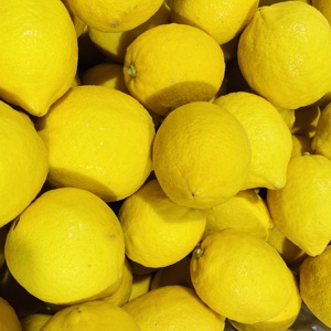 High Quality Fresh <strong>Lemon</strong> for Exporting - Product Image 6