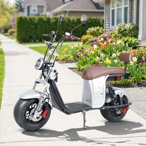 X26, el Scooter Eléctrico de Dos Ruedas Estilo Brasileño de 1000w para Adultos, con 80km de Autonomía, Cuadro de Aluminio y Suspensión Completa, del Mayor Fabricante de China, Precio X26 - Product Image 1