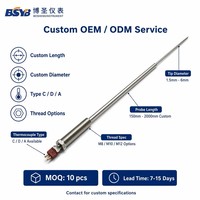 Sonde de température en céramique pour four en acier inoxydable, thermocouple de type C, 0-1900°C, haute température, OEM/ODM, garantie 1 an