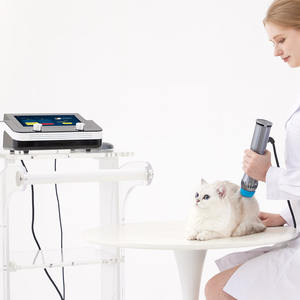 Tierarzt klinik Verwenden Sie Shock Waves Physiotherapie Schmerz linderung maschine für Pferde Schmerz Physiotherapie - Product Image 4