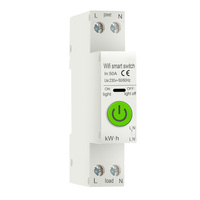 Disjoncteur intelligent WiFi Tuya 1P avec compteur d'énergie kWh, minuterie, relais, voltmètre et ampèremètre