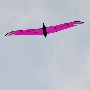 2026 Nuevo Cometa Personalizado de Fábrica, Fácil de Volar, Más Vendido, Grande, Cometa Cuchillo Pájaro 4m - Product Image 1
