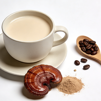 Café instantané Reishi à étiquette privée OEM/ODM, goût neutre, sans sucre, mélange adaptogène, extrait de Ganoderma, poudre de café de qualité supérieure