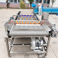 Bonen-, groente- en wortelgroentewas- en spuitmachine, prei-, kleine groene ui- en versgesneden groenteverwerkingsapparatuur, waterbesparend en met goede hygiëne.