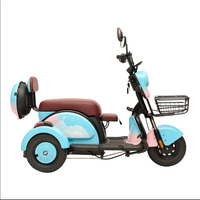 Convient au trafic urbain, tricycle, véhicule électrique, tricycle à conducteur et à chargement, phares LED 48V, plusieurs couleurs au choix