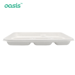 Disposable Waterproof Sugarcane Bagasse Fast Food Containers Bio Paper Take Away Plate <strong>Tray</strong> for Outdoor Camping Adventures - Product Image 2