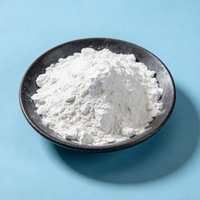 Poudre d'hydroxyde de calcium de pureté 98% (1250 mesh) en gros de l'usine Hongyu pour la peinture