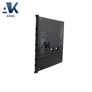 4200N Triconex <b>Remote</b> Extender Module - Product Image 1