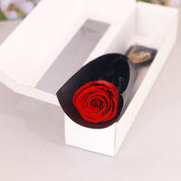 Bunga Mawar Asli Awetan Tunggal Grosir, Hadiah Hari Valentine, Souvenir Pernikahan, Bunga Abadi Alami, Mawar Abadi untuk Dekorasi Rumah