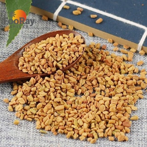 Graines de fenugrec grillées prêtes à l'emploi – Épice Methi, rehausseur de saveur noisette pour plats salés et marinades - Product Image 1