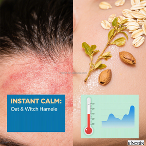 Champú orgánico de Argán y jengibre de etiqueta privada, acondicionador de <span class=keywords><strong>coco</strong></span> sin sulfato para cabello seco propenso a la caspa, aceite anticaspa - Product Image 6