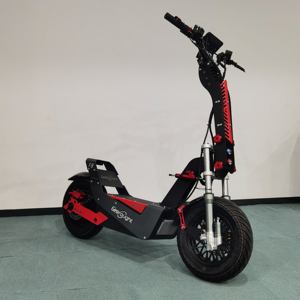 Trottinette électrique adulte 72V, batterie 30-60Ah, pneus tout-terrain de 16 pouces, longue autonomie, charge rapide, frein à huile, trottinette électrique pliable - Product Image 4