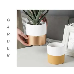белое золото керамический ящик для комнатных растений Suppliers-Белый керамический горшок, горшок под розовое золото 8 дюймов с дренажем, с блюдцем