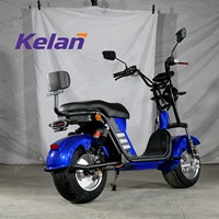 Exportation au Brésil : Scooter Électrique Adulte 1500W, Cadre en Acier Durable, Prix Bas, Pneus Larges, Moto Électrique 20AE