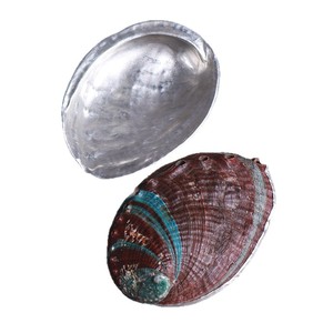 <b>Abalone</b> <b>Shell</b> Tea Scoop Tin Handmade Zen Style Tea Ceremony Tool - Product Image 5