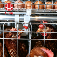 Cage à poules pondeuses automatique de type A pour 120 oiseaux, galvanisée à chaud, cage à batterie de type A pour élevage avicole