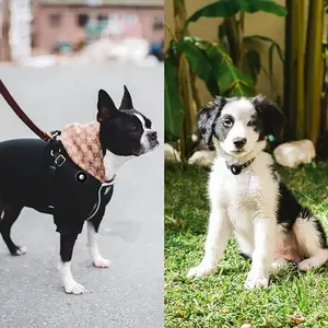 Dudukan Airtag untuk kalung anjing silikon Apple Air Tag penutup pelindung Case air tag Holder untuk hewan peliharaan tahan Air