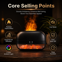 Diffuseur d'arômes créatif en pierre de sel de l'Himalaya, humidificateur à flamme simulée, lampe à LED 7 couleurs, diffuseur de brume pour huiles essentielles, idéal pour l'hôtellerie