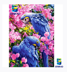 Kit Pittura Con Diamanti 5D - Quadro Di Pappagalli Rosa 30x40cm, Completo Di Accessori Per Decorazione