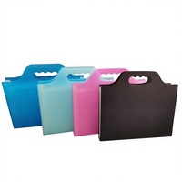 Suministro del Fabricante: Carpeta Organizadora de Archivos Portátil A4 de 12 Capas, Gran Capacidad, Modelo 1012