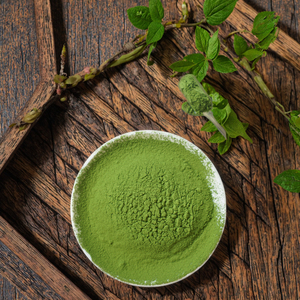 Té <span class=keywords><strong>Matcha</strong></span> Ceremonial Japonés en Polvo, Té Verde Saludable a Granel <span class=keywords><strong>con</strong></span> Etiquetas Privadas, Té <span class=keywords><strong>Matcha</strong></span> al por Mayor - Product Image 4