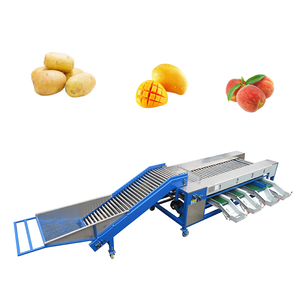 Machine automatique de tri et de calibrage des fruits et légumes pour pommes de terre, tomates, avocats, bleuets, cerises - Acier inoxydable 304 - Product Image 6
