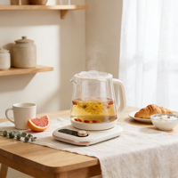 Nouvelle arrivée, bouilloire électrique en verre, 1,6 L, grande capacité, ébullition rapide, protection contre l'ébullition à sec, bouilloire en verre transparente pour la maison