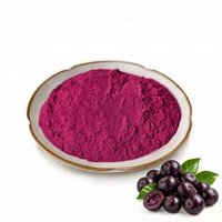 Poudre de baies d'açaï Crownsea en vrac, matière première de baies, marque privée pour les usines de transformation d'aliments santé