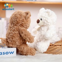 Peluche Ours Mignon, Petite Poupée Ours en Peluche en Coton PP, Logo Personnalisable, Cadeau d'Anniversaire pour Enfants