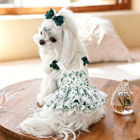 Robe de princesse en dentelle pour chien, jupe élégante pour petits chiens et chats, robe de style Lolita pour chiot, vêtements de luxe pour animaux de compagnie pour femelles