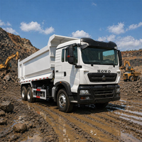 Низкая цена, самосвал RHD с 10 колесами, 371 л.с., для строительных работ