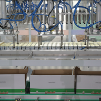 Prix d'usine Emballeuse de boîtes de conserve largement utilisée Machine de conditionnement servo multi-têtes personnalisée