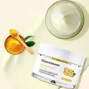China Factory Anti Aging Vitamin C Skin Care Lightening Whitening Brightening Turmeric Moisturizer Face Cream