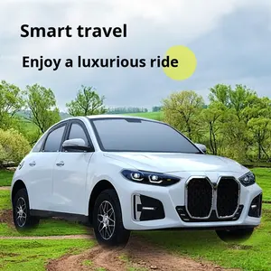 Vehículo eléctrico de cuatro ruedas de nueva energía de lujo para uso doméstico eléctrico de doble gas (<span class=keywords><strong>mujeres</strong></span> adultas) nuevo modelo de coche con batería para - Product Image 5