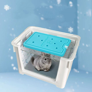 Chuỗi lạnh hậu cần Lớn nhựa ICE gạch và băng gói mát hộp tái sử dụng Pet cắm trại - Product Image 4