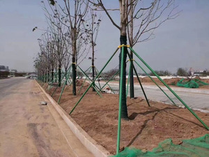 Support de jardin agricole Piquets résistants à la pultrusion Bâton de poteau en fibre de verre - Product Image 3