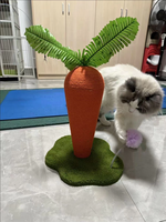 Structure d'escalade pour chat durable et écologique en corde de chanvre avec coque en plastique, jouet d'exercice, griffoir vertical, pour intérieur et extérieur, toutes occasions