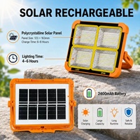 Projecteur LED Solaire 30W IP66 en Gros d'Usine, Lumière d'Urgence Portable pour Aménagement Paysager et Camping