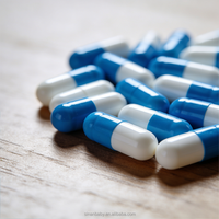 Capsules de L-Arginine pour Hommes Adultes Marque Blanche – Soutien à l'Acide Aminé et Précurseur d'Oxyde Nitrique pour la Vascularisation et l'Endurance (60 gélules)