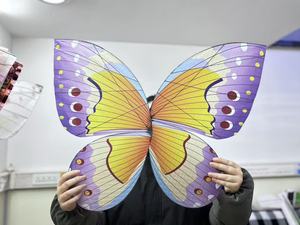 Dron Mariposa LED Recargable con Luces Intermitentes, NUEVO, con Brillo en la Oscuridad, para Decoración de Bodas, Fiestas y Escenarios, Regalo Original para Niños - Product Image 5