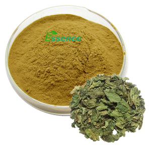 Estratto vegetale estratto di foglie di gelso in polvere 4:1 10:1 estratto di foglie di <span class=keywords><strong>Folium</strong></span> <span class=keywords><strong>Mori</strong></span> - Product Image 1